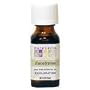 Eucalyptus - 0.5 oz - EssOil