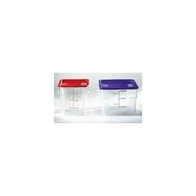 Square polycarbonate container with handles, 2 quart