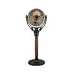 Victorian Fan