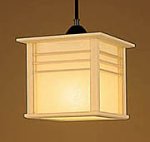 National ������ �a�����`�y���_���g�����v HED1190E