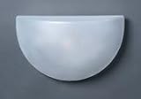 2355 Quarter Sphere Outdoor Light Wall Fixture in Seedy