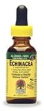 Echinacea Natural (Grape Flavor)