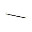 Mini SPRI Weighted Bar - Options 4 lb bar
