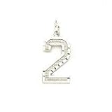14kt White Gold Number Charm