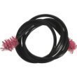 Venture Coiled Trumpet Snake
