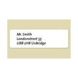 Dymo Labelwriter Labels Standard Address 28x89mm Ref 99010 S0722370 [Pack 2x130]