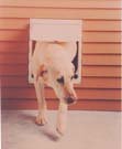 Magnador Two-Way Plastic Pet Door - 11In. x 13In. Opening, Model# PDII