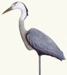 Aquascape - Pond Predator Control - Male Blue Heron Decoy