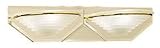 Maxim Lighting Frosted - Polished Brass Bath