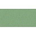 Cardstock 12X12 Bazzill 50/Bulk - Peapod