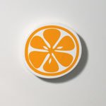 Citrus Fridge Magnet / Orange