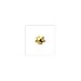 Studex Sterilized Piercing Earrings * Ear Stud * Gold Star * Mini