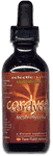 Eclectic Institute - Cordyceps, 1 fl oz liquid