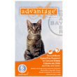 Advantage 12pk Cat Orange 1-9 Lbs