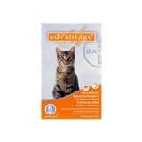 Advantage 12pk Cat Orange 1-9 Lbs