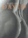 Michelangelos David. Sonderausgabe