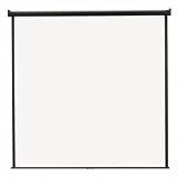 Hanging Projection Screen, 70x70, White Screen