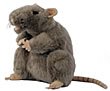 The Puppet Company European Wildlife Hand Puppets Rat Hand Puppet (Grey)
