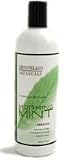 Archipelago Botanicals Morning Mint Shampoo - 16 fl. oz.