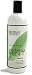 Archipelago Botanicals Morning Mint Shampoo - 16 fl. oz.