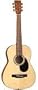 J. Reynolds 36-inch Student Acoustic Guitar - Steel-string