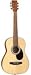 J. Reynolds 36-inch Student Acoustic Guitar - Steel-string