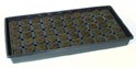 Rapid Rooter 50 Ct. Tray