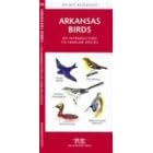 Arkansas Birds: An Introduction to Familiar Species