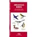 Arkansas Birds: An Introduction to Familiar Species
