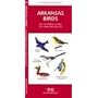 Arkansas Birds: An Introduction to Familiar Species