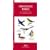 Arkansas Birds: An Introduction to Familiar Species