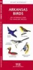 Arkansas Birds: An Introduction to Familiar Species