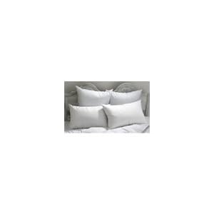Ritz-Carlton Pacific Coast Double Down Surround King Pillow Complete Set (4 King Pillows)