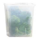 White 4qt Food Storage Container