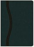 The Charles F. Stanley Life Principles Bible, NASB Edition