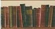 The Library Wallpaper Border