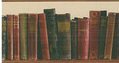 The Library Wallpaper Border