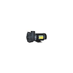 3 HP 230 Volt 2 Speed Side Discharge Waterway Spa / Hot Tub Pump 2" Plumbing # S30230