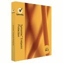 ENDPT PROTEC 12.1 EN 25 USR BNDL BUS PK