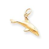 10k Dolphin Charm