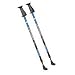 Exerstrider OS-2 Adjustable Walking Poles