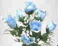 Dew Drop Rose Bud Bush-Light Blue