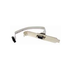 12in Serial Port Everex Cable 12 in Gray. by 