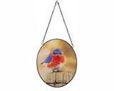 Songbird Essentials Mad Bluebird Suncatcher Artist Michael L Smith