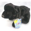 Ganz Webkinz Adopt-a-pet Plush Black Lab