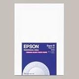 ~:~ EPSON AMERICA ~:~ Professional Enhanced Matte Inkjet Paper, White, (Super B) 13 x 19, 50 Sheets