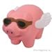 Flying Pig Stress Toy