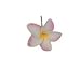 Flower Hair Picks / Pink Plumeria