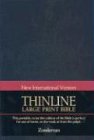 NIV Thinline Bible, Large Print