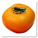 Oisix おいしい・ヘルシー 種なし柿